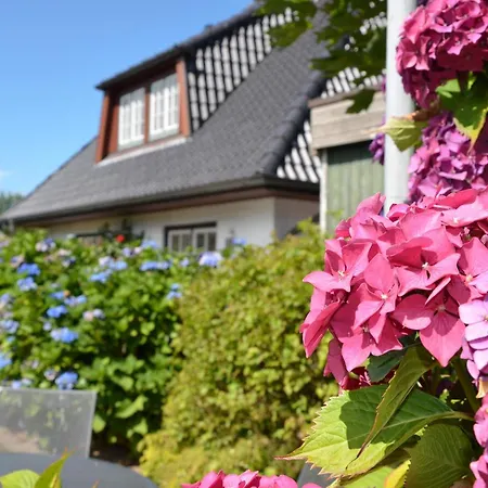 Litzkow 11801 Hébergement de vacances Morsum (Sylt)